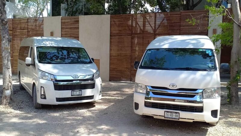 Puerto Vallarta: Private Airport Transfer - Airport Pickup Procedures