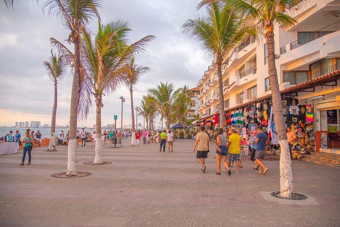 Puerto Vallarta Private Art Tour - Reviews and Ratings