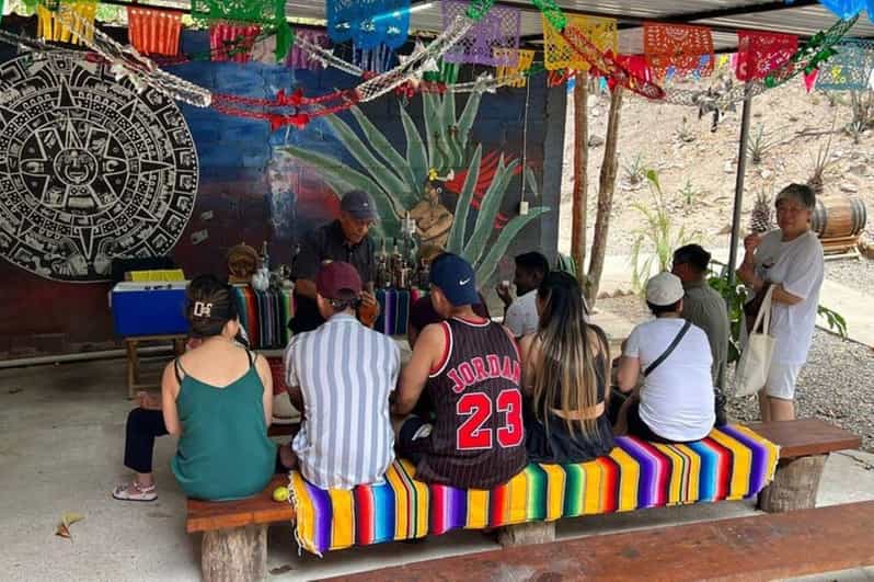 Puerto Vallarta: Private City Tour and Tequila Tasting - Participant and Booking Information