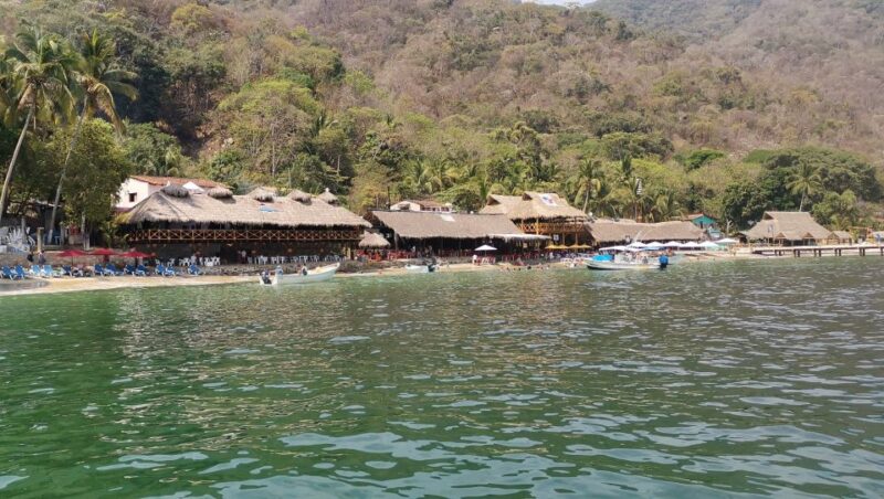Puerto Vallarta: Private South Shore Sightseeing Cruise - Tour Rating and Reviews