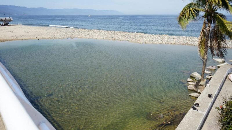 Puerto Vallarta: Puerto Vallarta and Tequila Tasting - Hotel Pickup and Recommendations