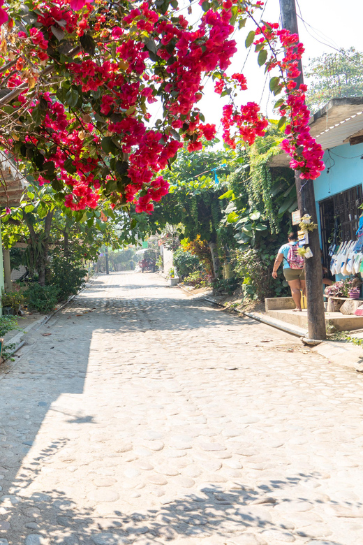Puerto Vallarta: Quimixto Waterfall Hike and Boat Tour - Key Points