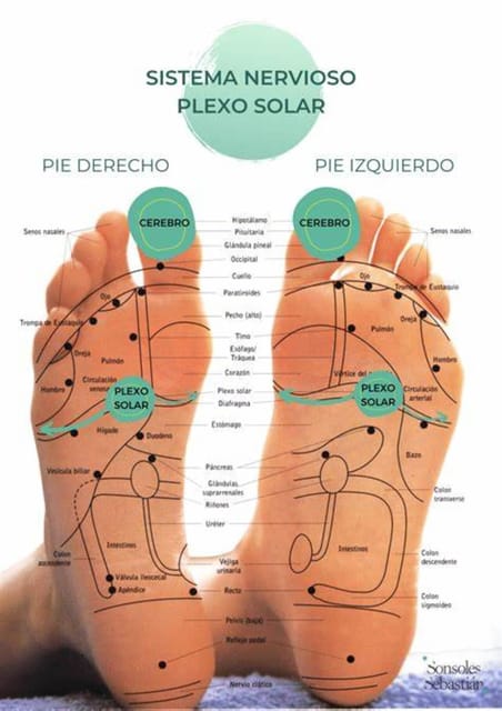 Puerto Vallarta: Reflexology Therapy Experience - Session Details