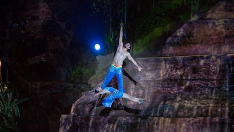 Puerto Vallarta: Rhythms of the Night Experience - Experience Highlights