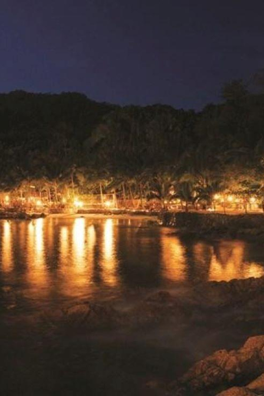 Puerto Vallarta: Rhythms of the Night Experience - Show Details