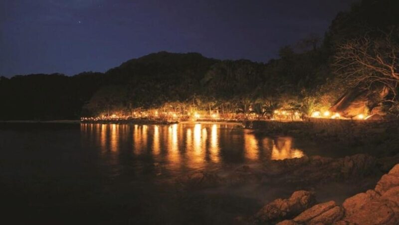 Puerto Vallarta: Rhythms of the Night Experience - Transportation and Accessibility