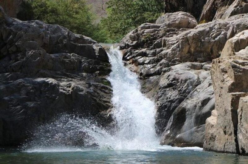 Puerto Vallarta: River Expedition - Experience Details