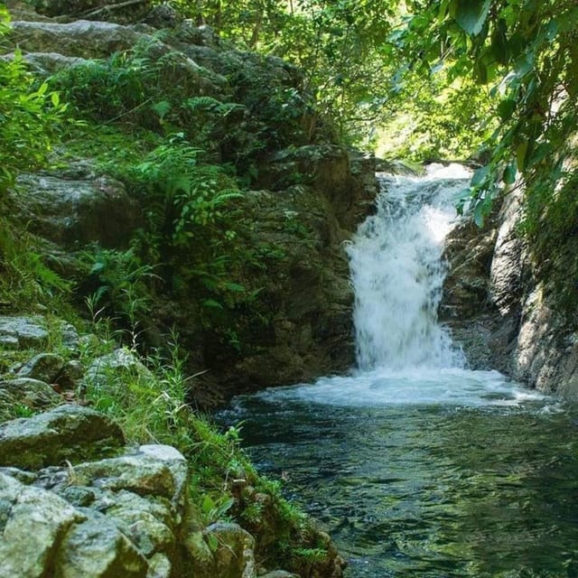 Puerto Vallarta: RZR Cuale River - Tequila Tasting Adventure