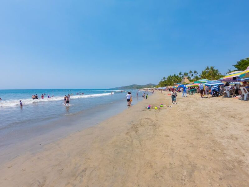 Puerto Vallarta: Sayulita and San Pancho Beaches Tour - Experience Highlights