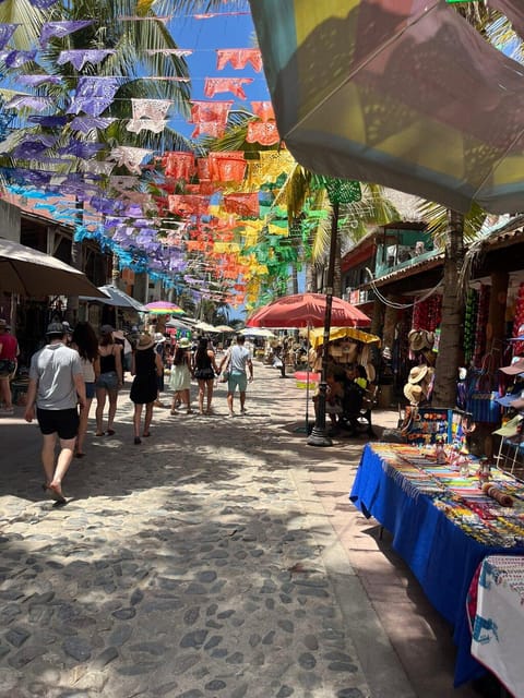 Puerto Vallarta: Sayulita and San Pancho Day Trip - Discovering Sayulita