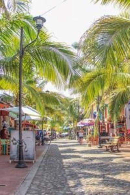 Puerto Vallarta: Sayulita and San Pancho Tour - Transportation
