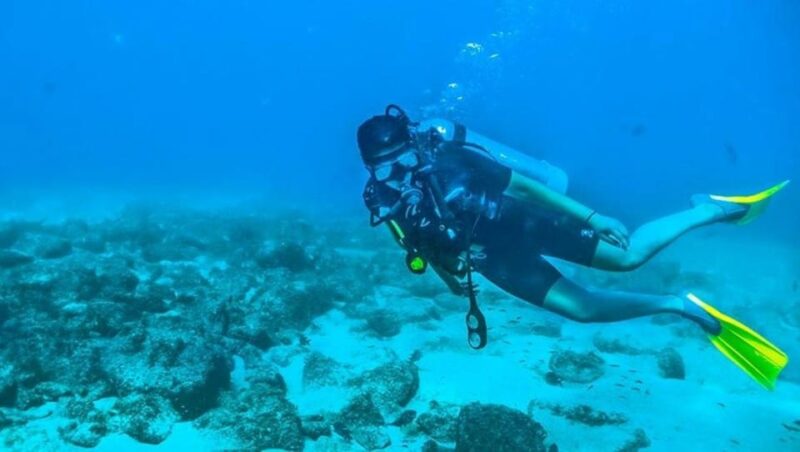 Puerto Vallarta: Scuba Dive at Los Arcos - Key Points