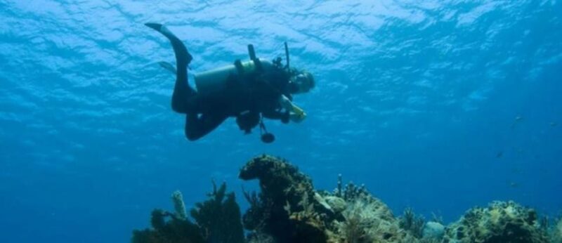 Puerto Vallarta: Scuba Dive at Los Arcos - Experience Details