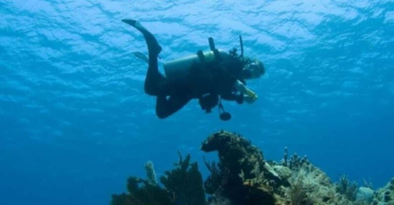 Puerto Vallarta: Scuba Dive at Los Arcos - Itinerary