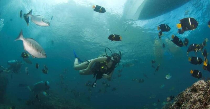 Puerto Vallarta: Scuba Dive at Marietas Islands - Booking and Cancellation