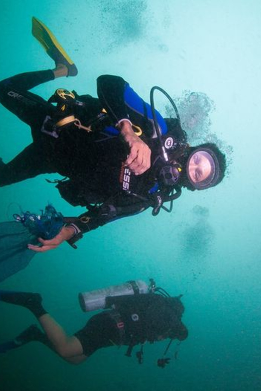 Puerto Vallarta: Scuba Diving Expedition at El Malinal - Key Points
