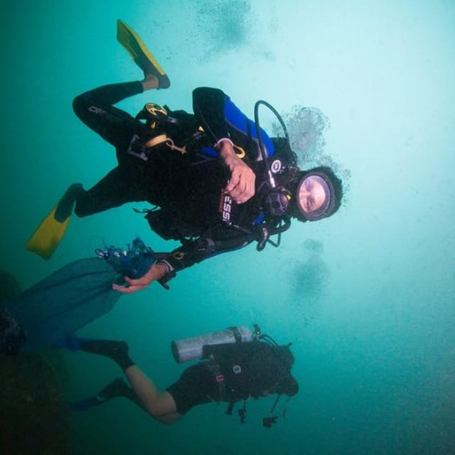 Puerto Vallarta: Scuba Diving Expedition at El Malinal - Diving Details