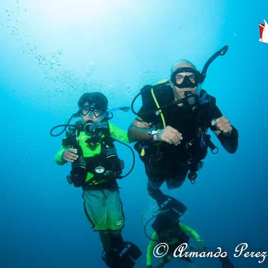 Puerto Vallarta: Scuba Diving Expedition at El Malinal - Meeting Point and Schedule