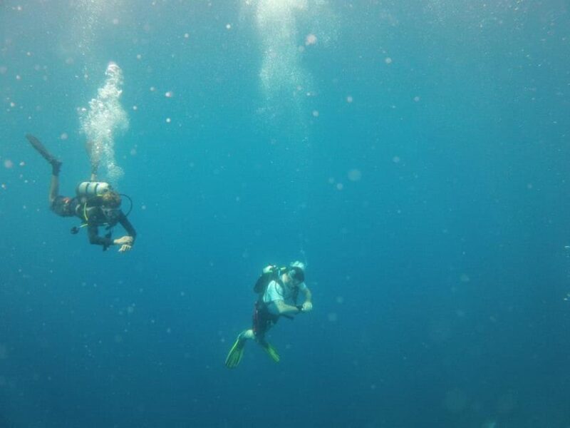 Puerto Vallarta: Scuba Diving Expedition at El Malinal - Certification and Skill Level