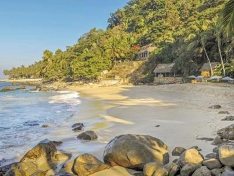 Puerto Vallarta: Sea Safari & Horseback Riding - Key Points