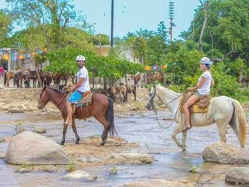 Puerto Vallarta: Sea Safari & Horseback Riding - Booking Information