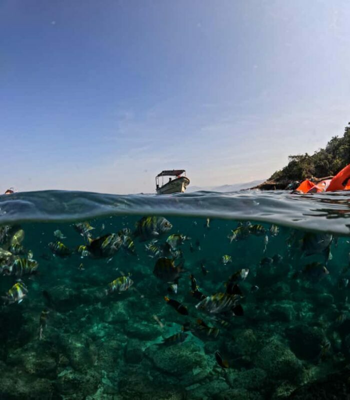 Puerto Vallarta: Snorkel With Tropical Fishes & Canopy Tour - Key Points