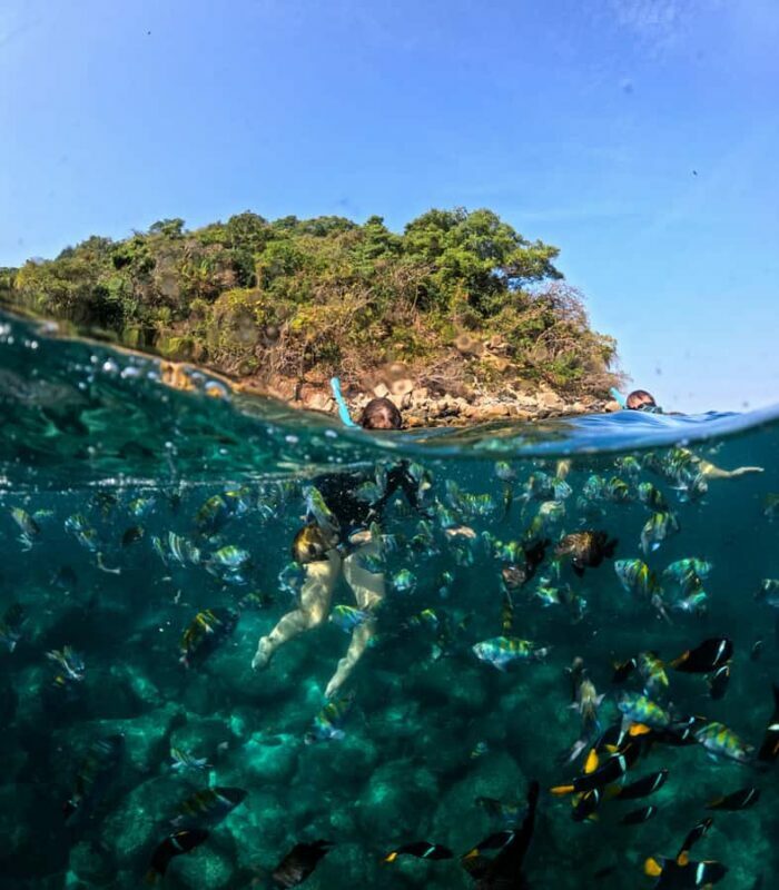 Puerto Vallarta: Snorkel With Tropical Fishes & Canopy Tour - The Itinerary and Transportation: An Efficient Start