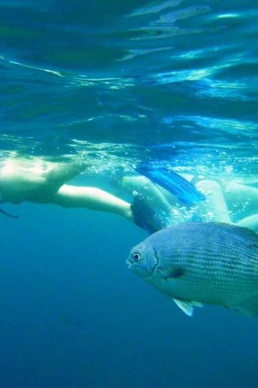 Puerto Vallarta: Snorkeling at Marietas Islands - Exploring Marietas Islands