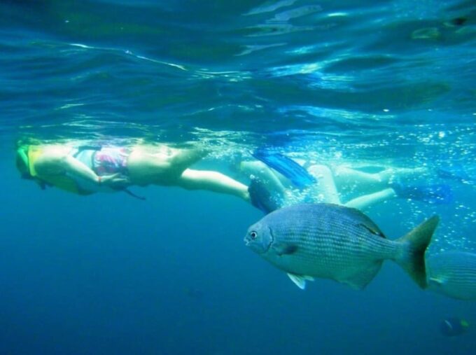 Puerto Vallarta: Snorkeling at Marietas Islands - Inclusive Tour Package