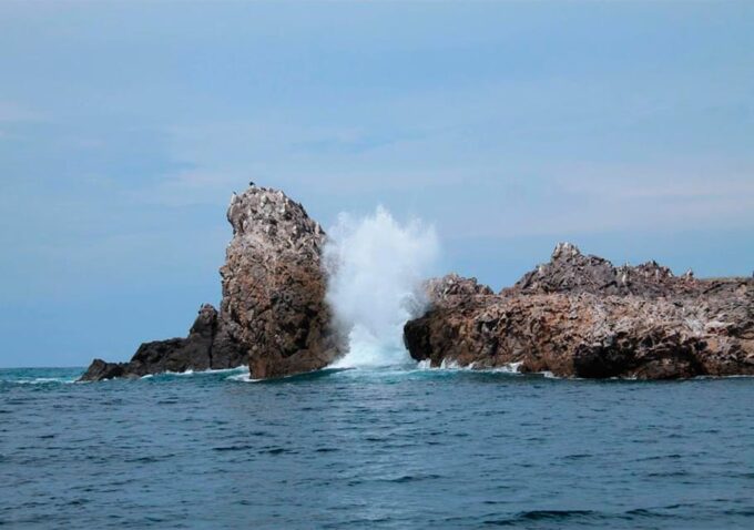 Puerto Vallarta: Snorkeling, Beach, Sailing to Marietas Park - Frequently Asked Questions