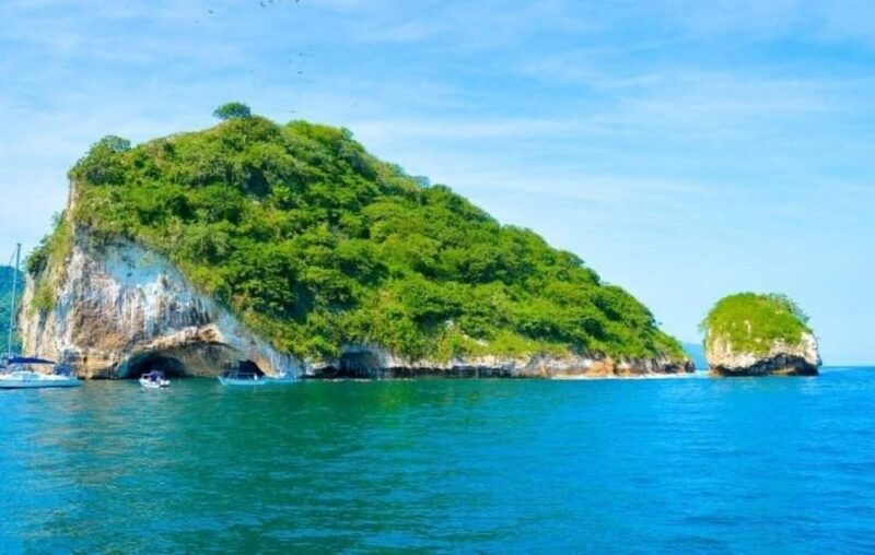 Puerto Vallarta: The Predator of the Sea - Snorkeling and Beach Activities