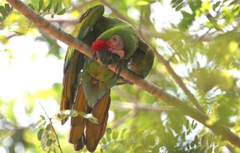 Puerto Vallarta: Tour at El Tuito and Rancho Primavera - Locations