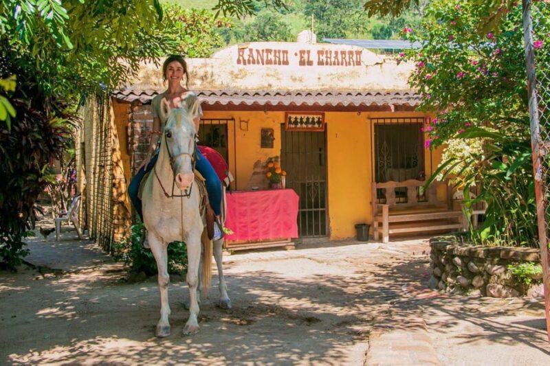 Puerto Vallarta: Tropical Forest Horseback Ride - Itinerary Details