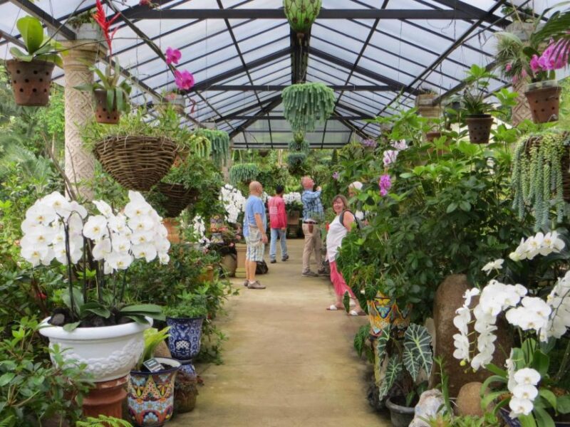 Puerto Vallarta: Vallarta Botanical Garden Entry Ticket - Accessibility and Amenities