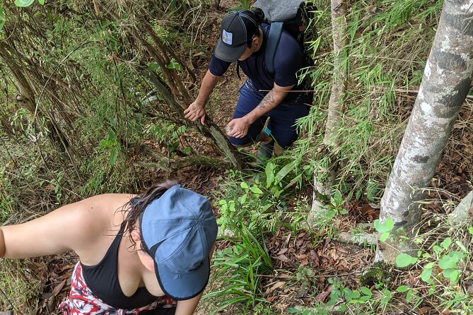 Puerto Vallarta Waterfall Hike - Tour Highlights