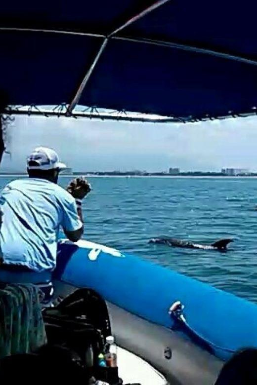 Puerto Vallarta: Wild Dolphins & Snorkeling Expedition - Key Points