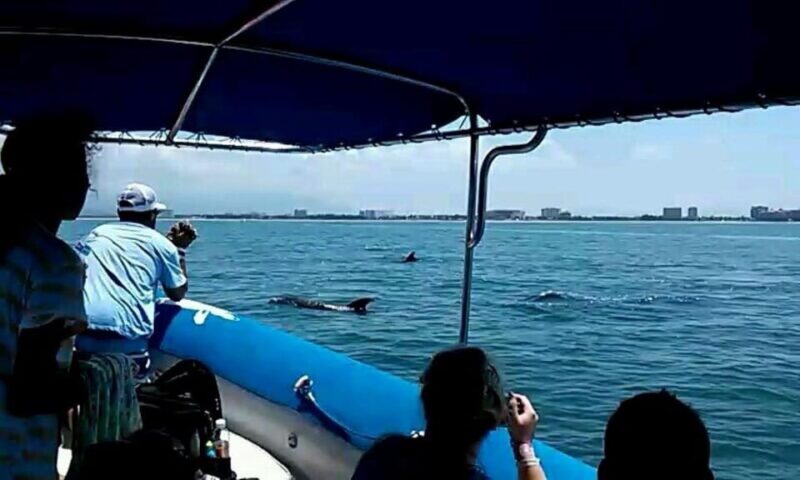 Puerto Vallarta: Wild Dolphins & Snorkeling Expedition - Onboard Amenities