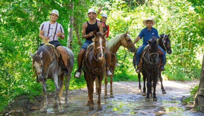 Puerto Vallarta: Zipline Experience Over Canopy River Park - What to Expect