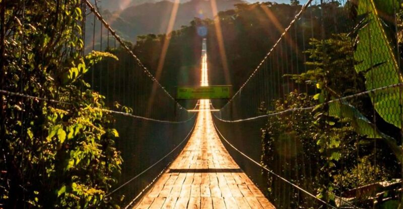 Puerto Vallarta: ZipLine + Jorullo Bridge Pass + Mule Ride - Booking Information