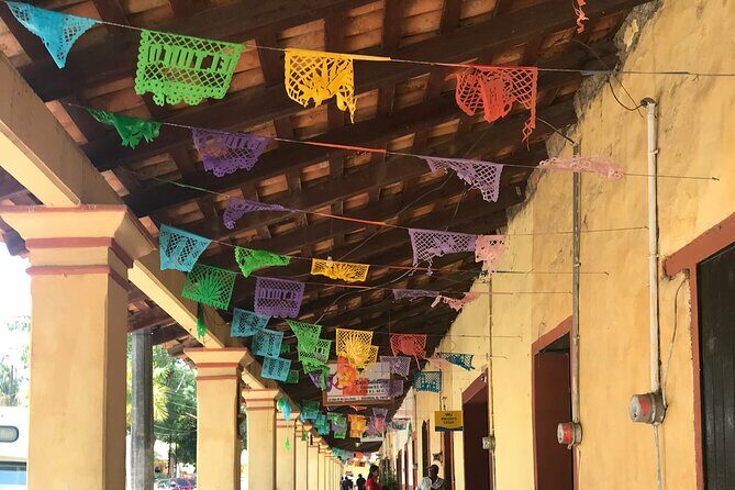 Puerto Vallarta's Historic Mexican Village Tour: El Tuito - Who Should Consider This Tour?