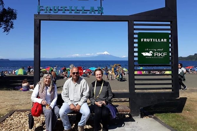 Puerto Varas Excursion, Petrohue Falls, Osorno Volcano - Inclusions and Amenities