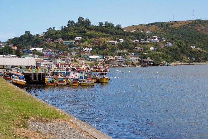 Puerto Varas; Full Day, Chiloe Island: Ancud, Caulin, and Lacuy - Key Points