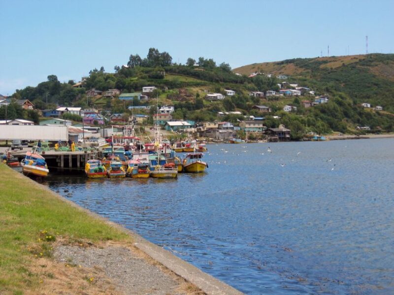 Puerto Varas: Full Day Chiloé Island Tour Castro and Dalcahue - Key Points