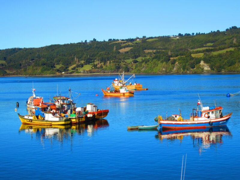 Puerto Varas: Full Day Chiloé Island Tour Castro and Dalcahue - Inclusions and Exclusions
