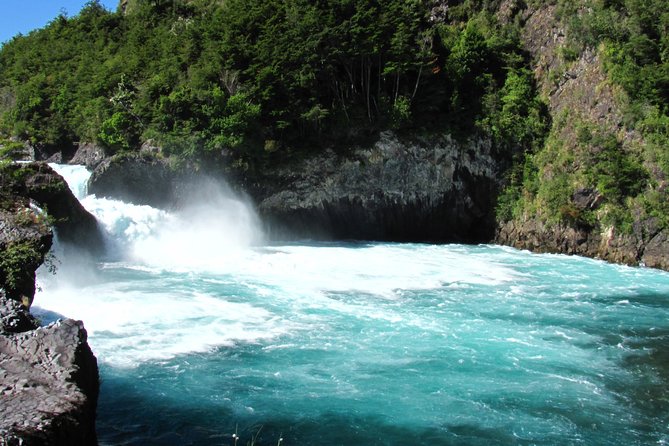 Puerto Varas: Full Day Osorno Volcano and Petrohue Falls - Included Services