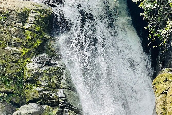 Puerto Viejo Hidden Gems and Waterfall - Kekoldi Iguana Reserve Visit