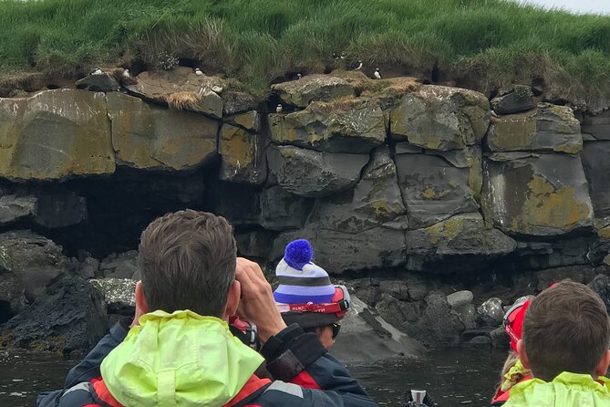 Puffin Watching Speedboat Express - Guided Tour Highlights