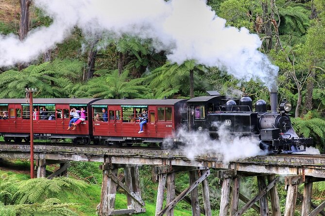 Puffing Billy And Phillip Island Penguin Parade Bus Tour - Inclusions and Amenities