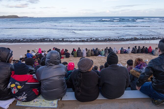 Puffing Billy And Phillip Island Penguin Parade Bus Tour - Cancellation and Payment Policy