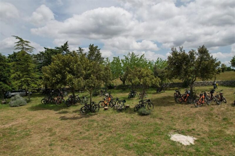 Puglia/Bari: a Bike Experience Among Vineyards and Wineries - Participant Requirements